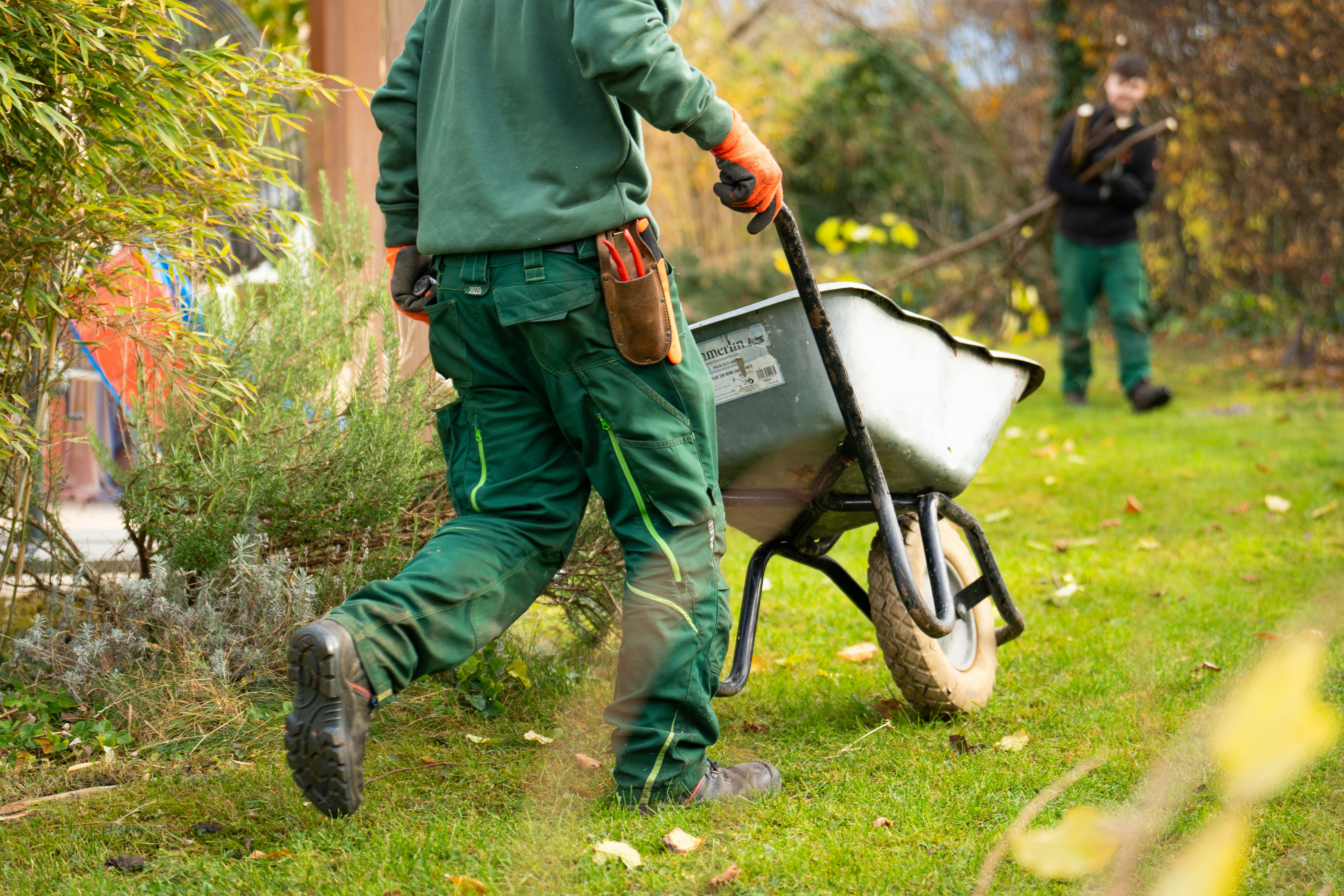 Yard Cleanup