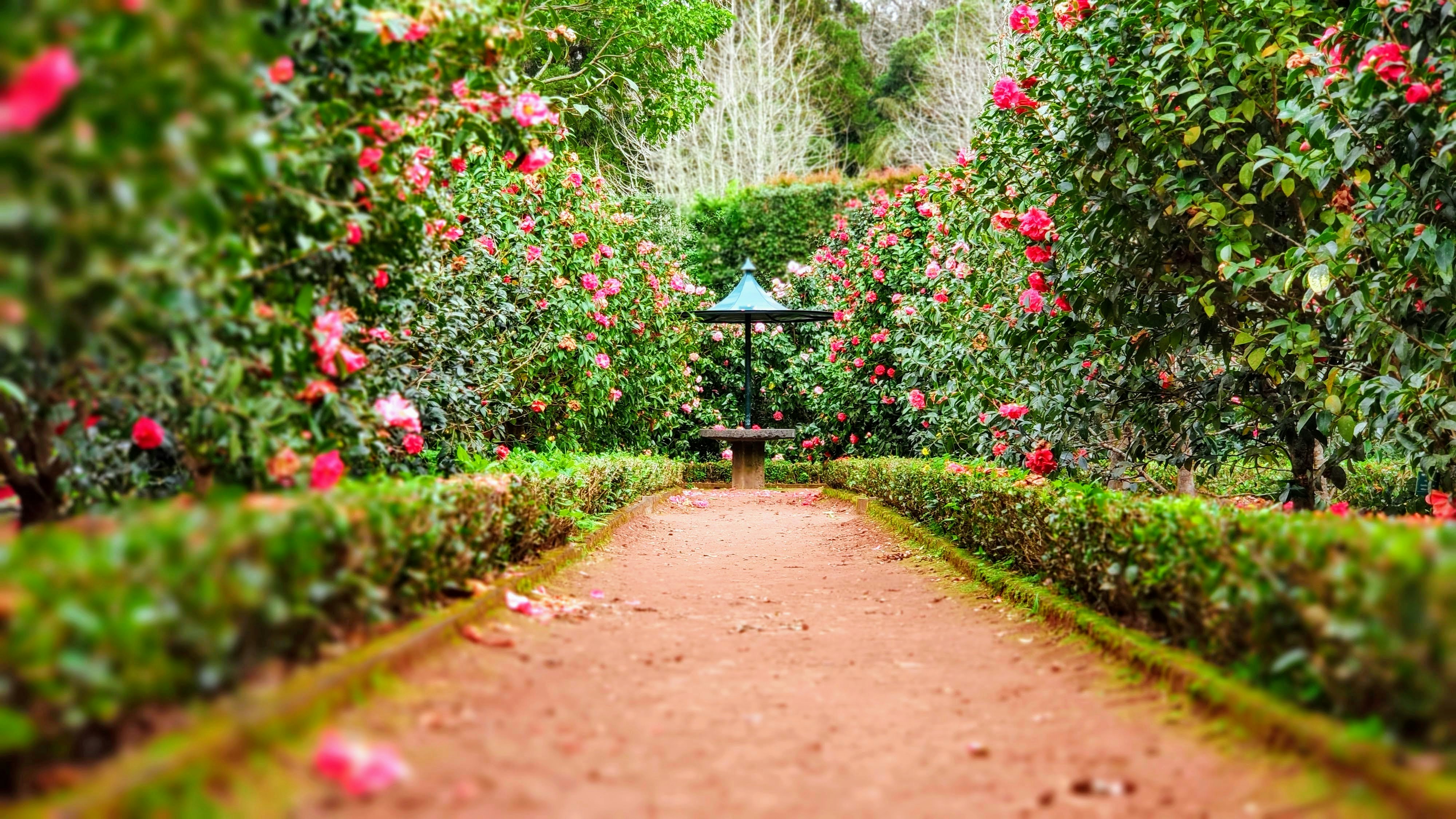 Landscaping Design
